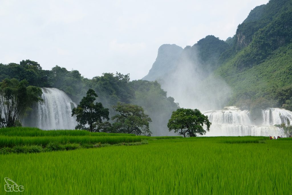 Đồng bằng sông Cửu Long Phát triển nông nghiệp xanh gắn với du lịch vùng  đồng bào DTTS  Báo Dân tộc và Phát triển